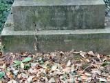 image of grave number 166654